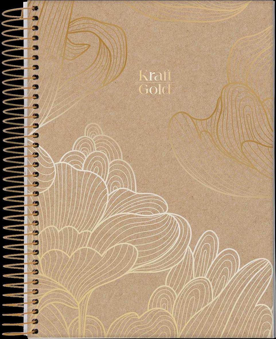 CADERNO ESPIRAL UNIVERSITÁRIO CAPA DURA 01 MATÉRIA 80 FOLHAS - KRAFT GOLD