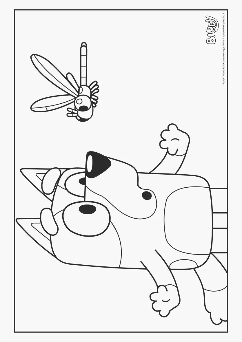 FOLHAS ILUSTRAÇÃO 180G A4 - BLUEY — miniatura 16