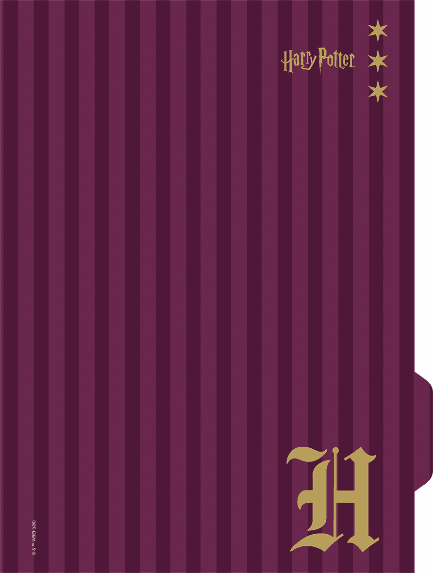 CADERNO 1/4 CAPA DURA 80 FOLHAS NEO - HARRY POTTER — miniatura 5