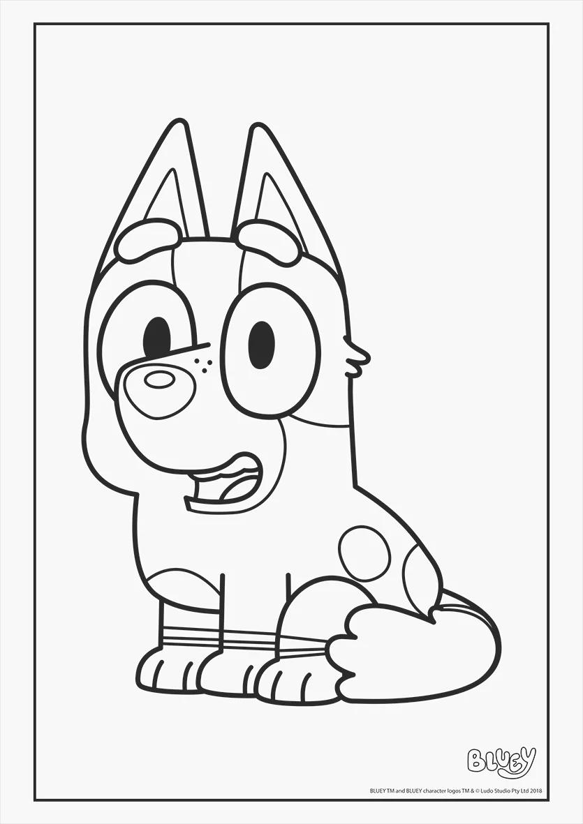 FOLHAS ILUSTRAÇÃO 180G A4 - BLUEY — miniatura 22