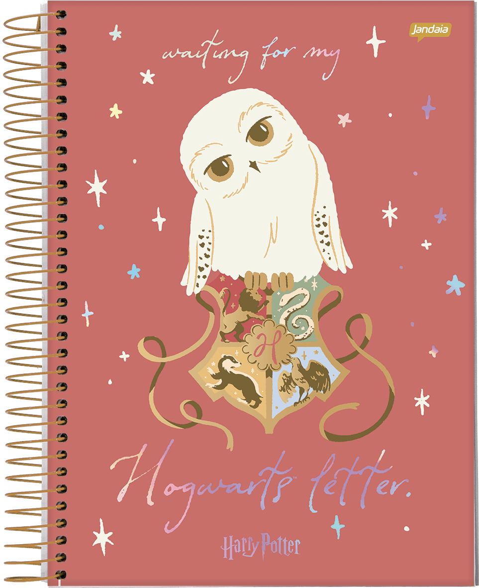 CADERNO ESPIRAL UNIVERSITÁRIO CAPA DURA 01 MATÉRIA 96 FOLHAS - HARRY POTTER