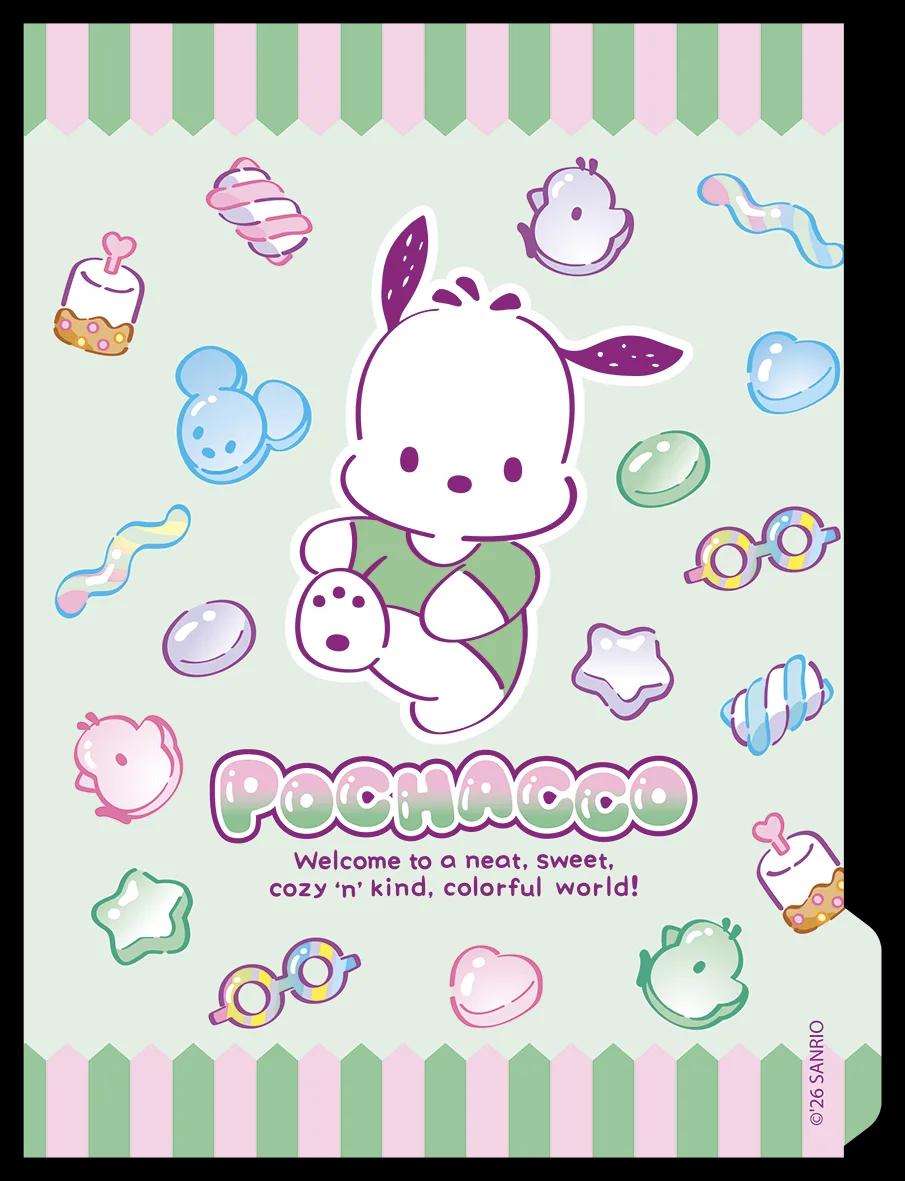 CADERNO COLLEGE CAPA DURA 80 FOLHAS ARGOLADO - POCHACCO — miniatura 10