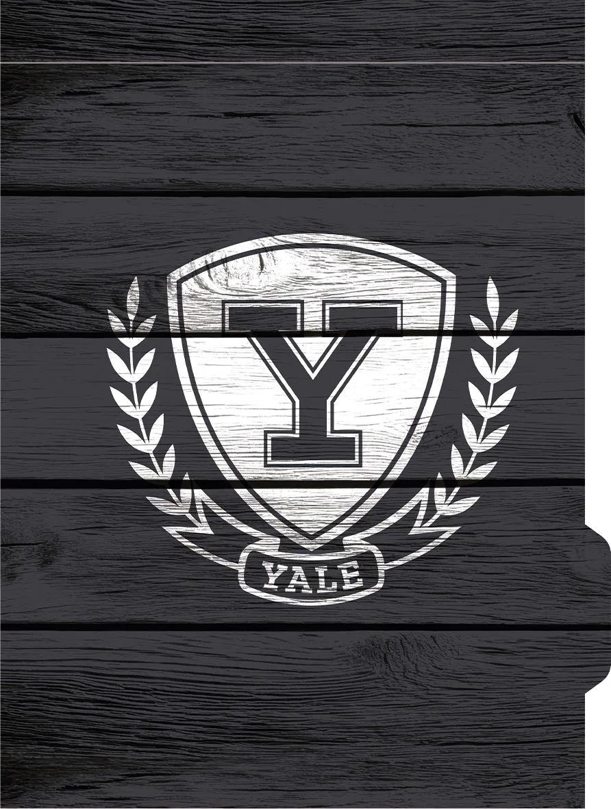 CADERNO ESPIRAL UNIVERSITÁRIO CAPA DURA 80 FOLHAS ARGOLADO - YALE — miniatura 7