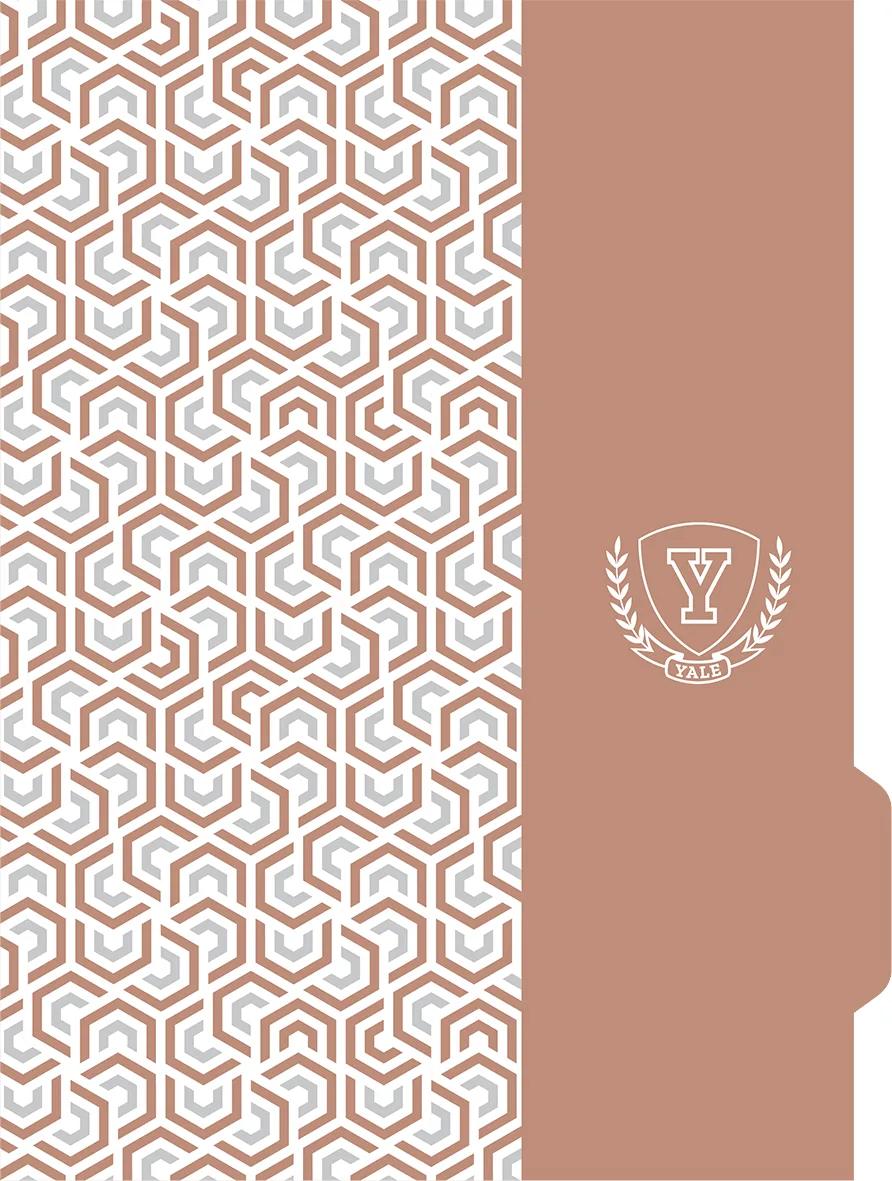 CADERNO ESPIRAL UNIVERSITÁRIO CAPA DURA 80 FOLHAS NEO - YALE — miniatura 6