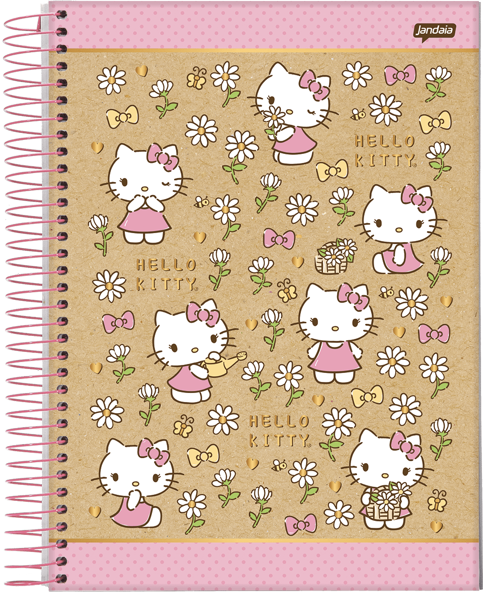 CADERNO ESPIRAL CAPA DURA 1/8 80 FOLHAS - HELLO KITTY KRAFT — miniatura 3