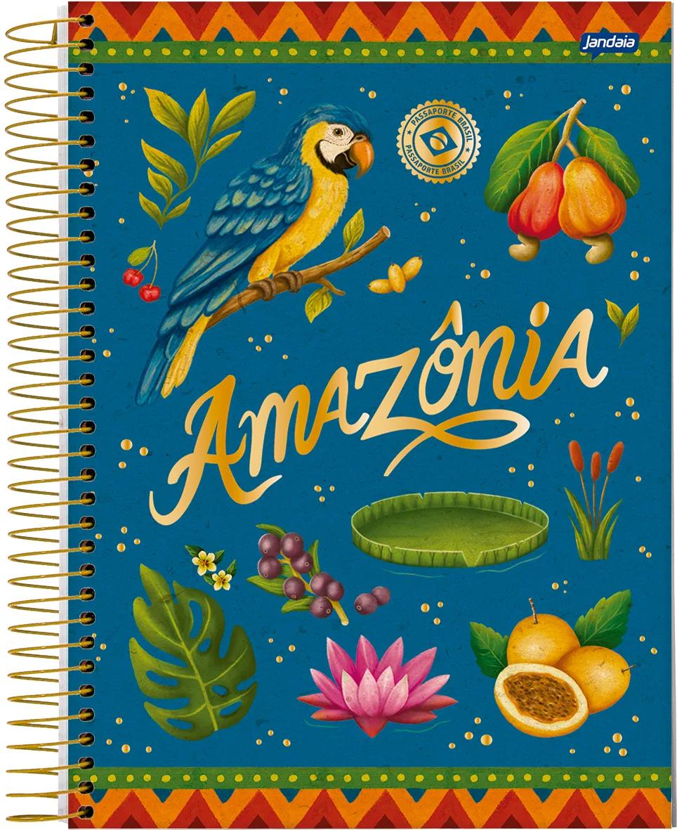 CADERNO ESPIRAL UNIVERSITÁRIO CAPA DURA 10 MATÉRIAS 160 FOLHAS - PASSAPORTE BRASIL