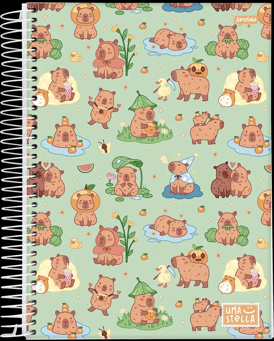 CADERNO ESPIRAL UNIVERSITÁRIO CAPA DURA 20 MATÉRIAS 320 FOLHAS - STELLA — miniatura 8
