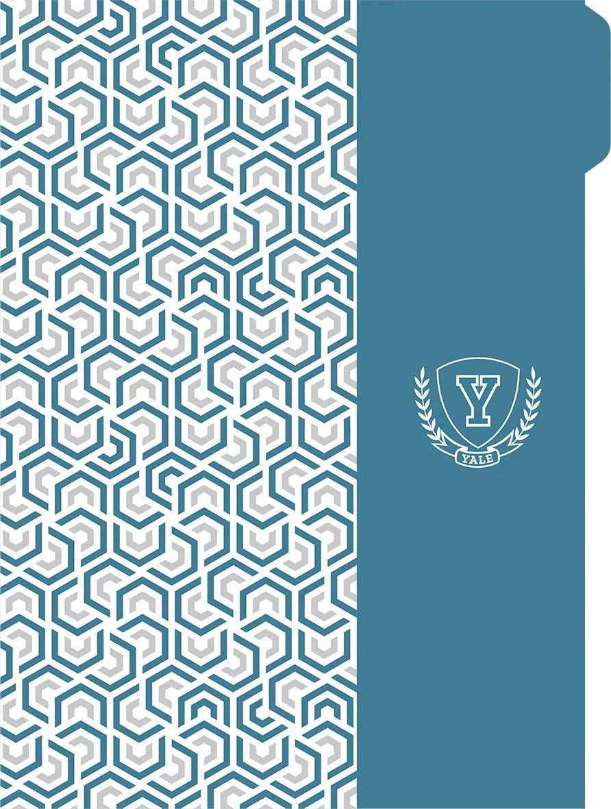 CADERNO ESPIRAL UNIVERSITÁRIO CAPA DURA 80 FOLHAS NEO - YALE — miniatura 2