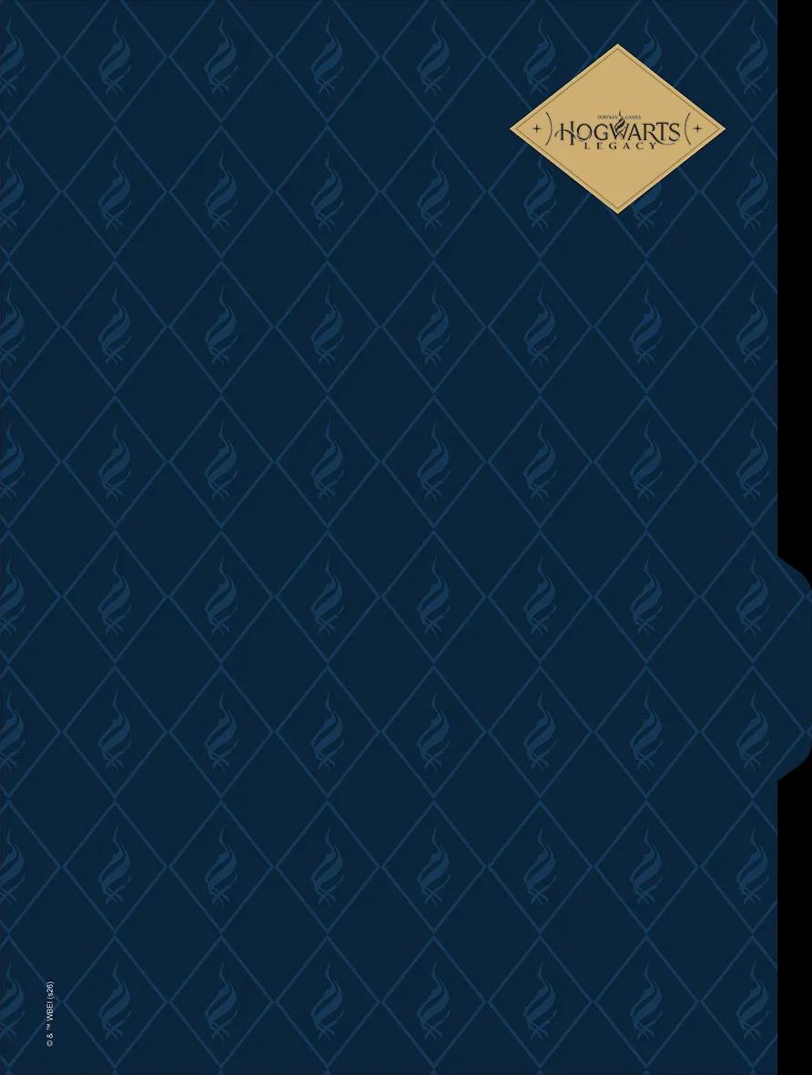 CADERNO UNIVERSITÁRIO CAPA DURA 01 MATÉRIA 80 FOLHAS NEO - HOGWARTS LEGACY — miniatura 6