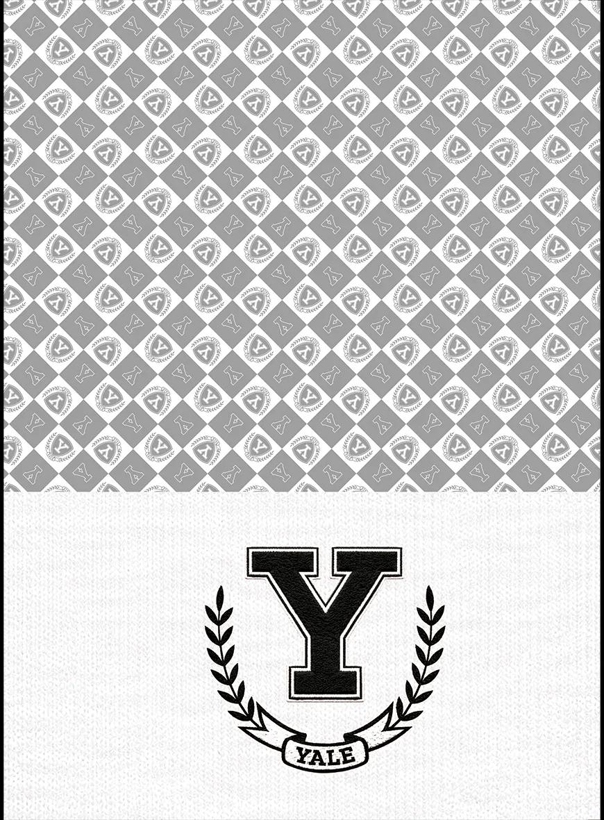 CADERNO ESPIRAL UNIVERSITÁRIO CAPA DURA 10 MATÉRIAS 200 FOLHAS - YALE — miniatura 5