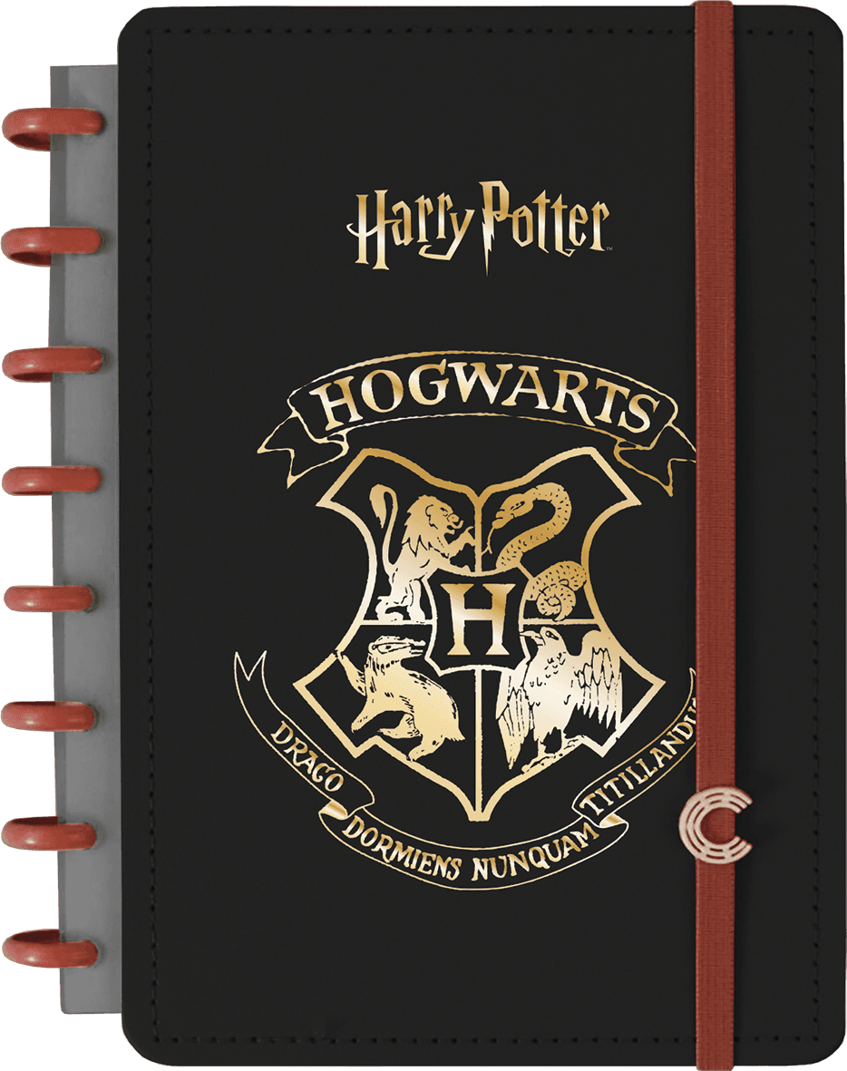 CADERNO INTELIGENTE 1/4 140X200MM 80FLS - C.I. HARRY POTTER