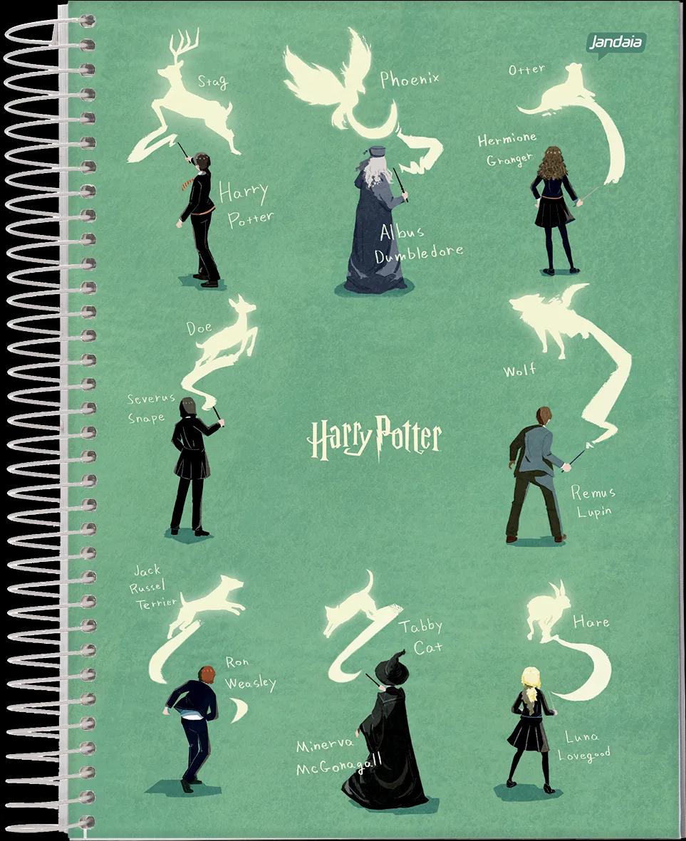 CADERNO ESPIRAL CAPA DURA 10 MATÉRIAS COLLEGE- HARRY POTTER EDIÇÃO ESPECIAL — miniatura 7