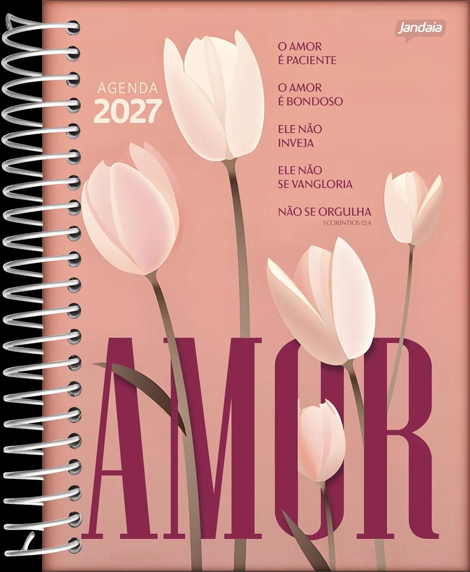 AGENDA DIÁRIA ESPIRAL 133X178MM 176FLS - BELIEVE