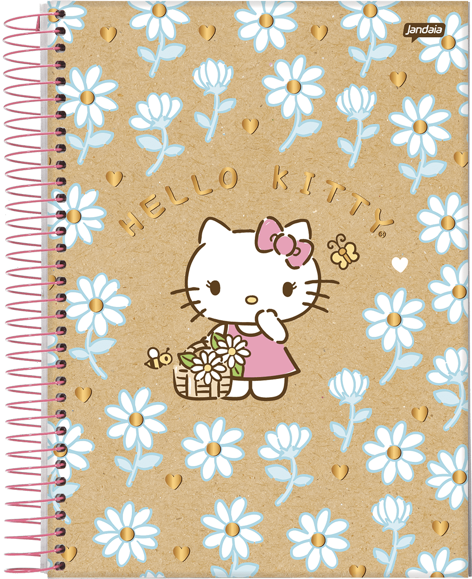CADERNO ESPIRAL CAPA DURA 1/8 80 FOLHAS - HELLO KITTY KRAFT