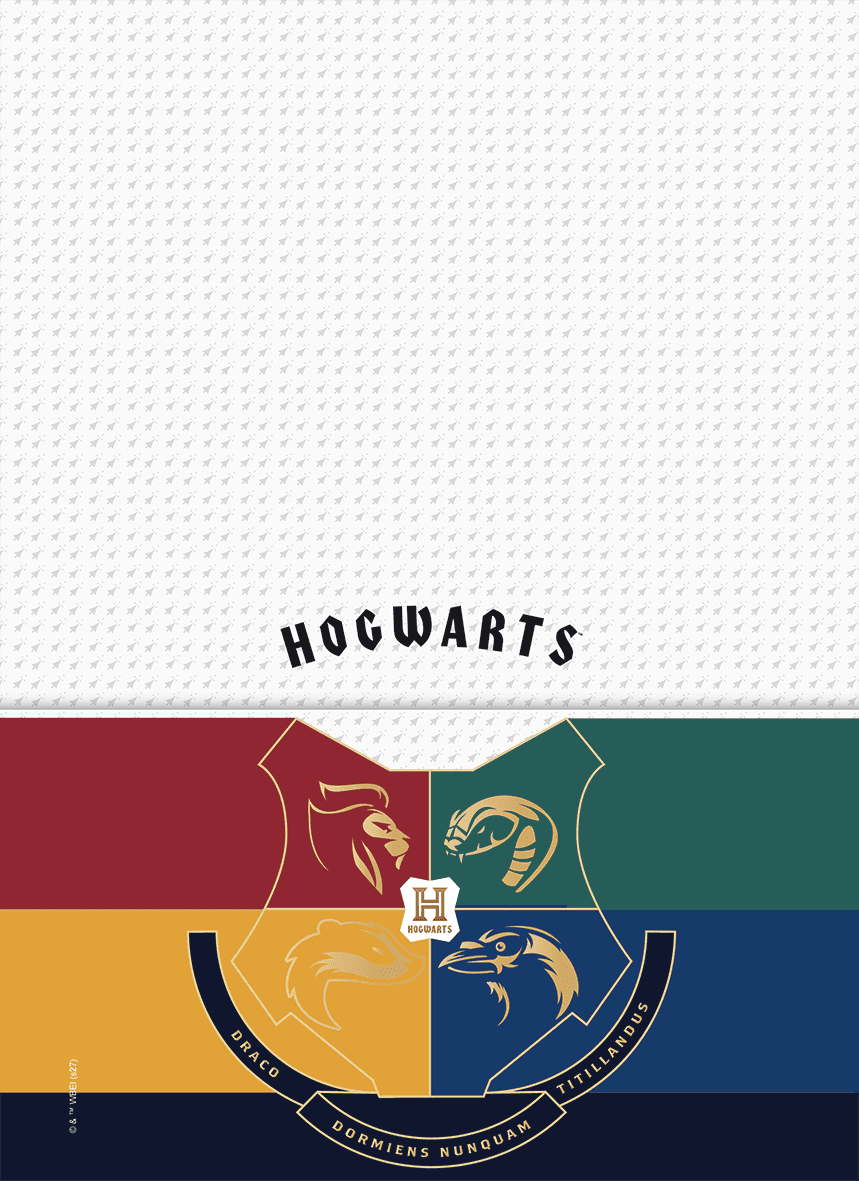 CADERNO ESPIRAL UNIVERSITÁRIO CAPA DURA 10 MATÉRIAS 200 FOLHAS - HARRY POTTER — miniatura 9
