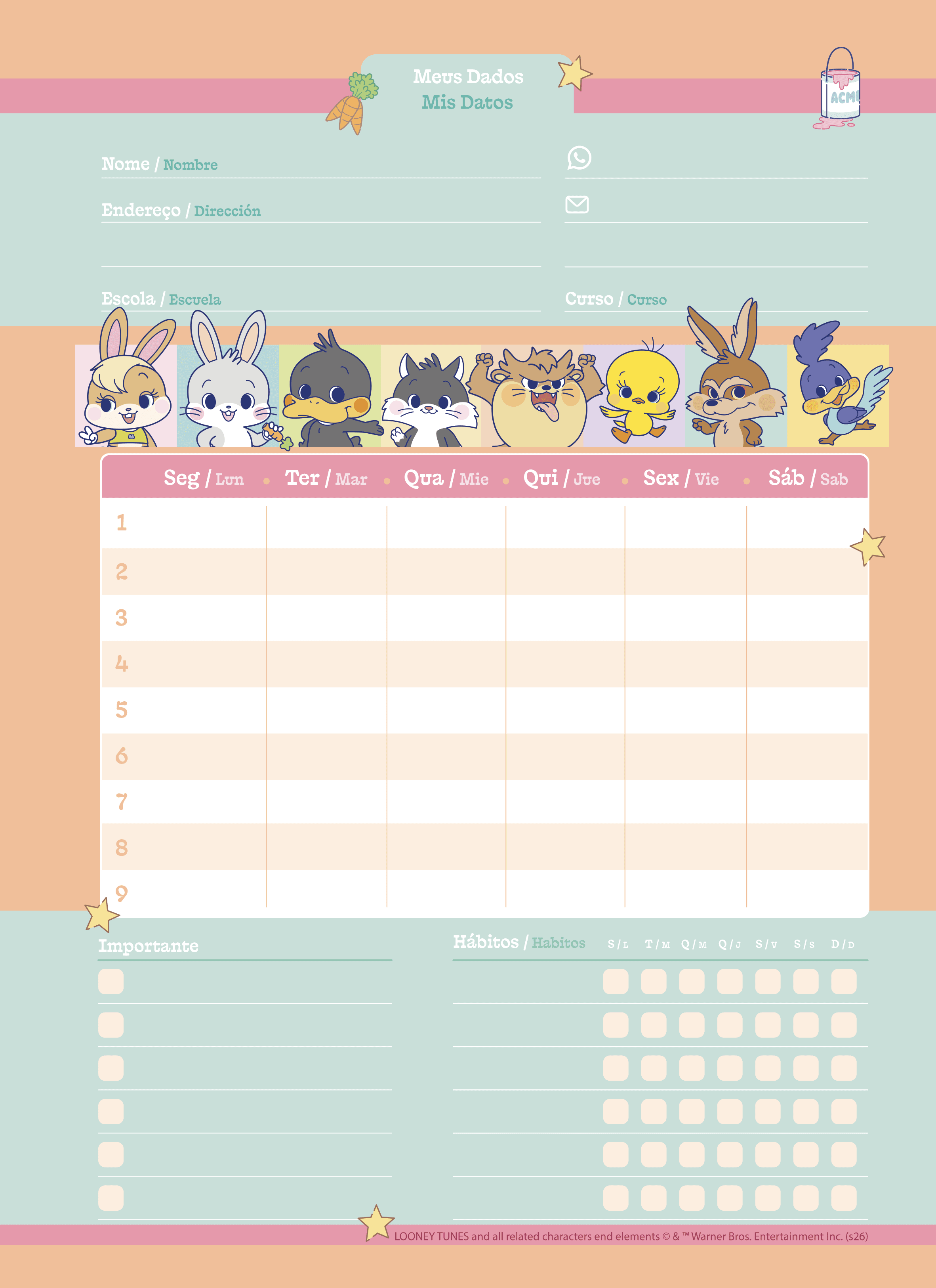 CADERNO ESPIRAL UNIVERSITÁRIO CAPA DURA 01 MATÉRIA 80 FOLHAS - GOKKO: LOONEY TUNES — miniatura 7