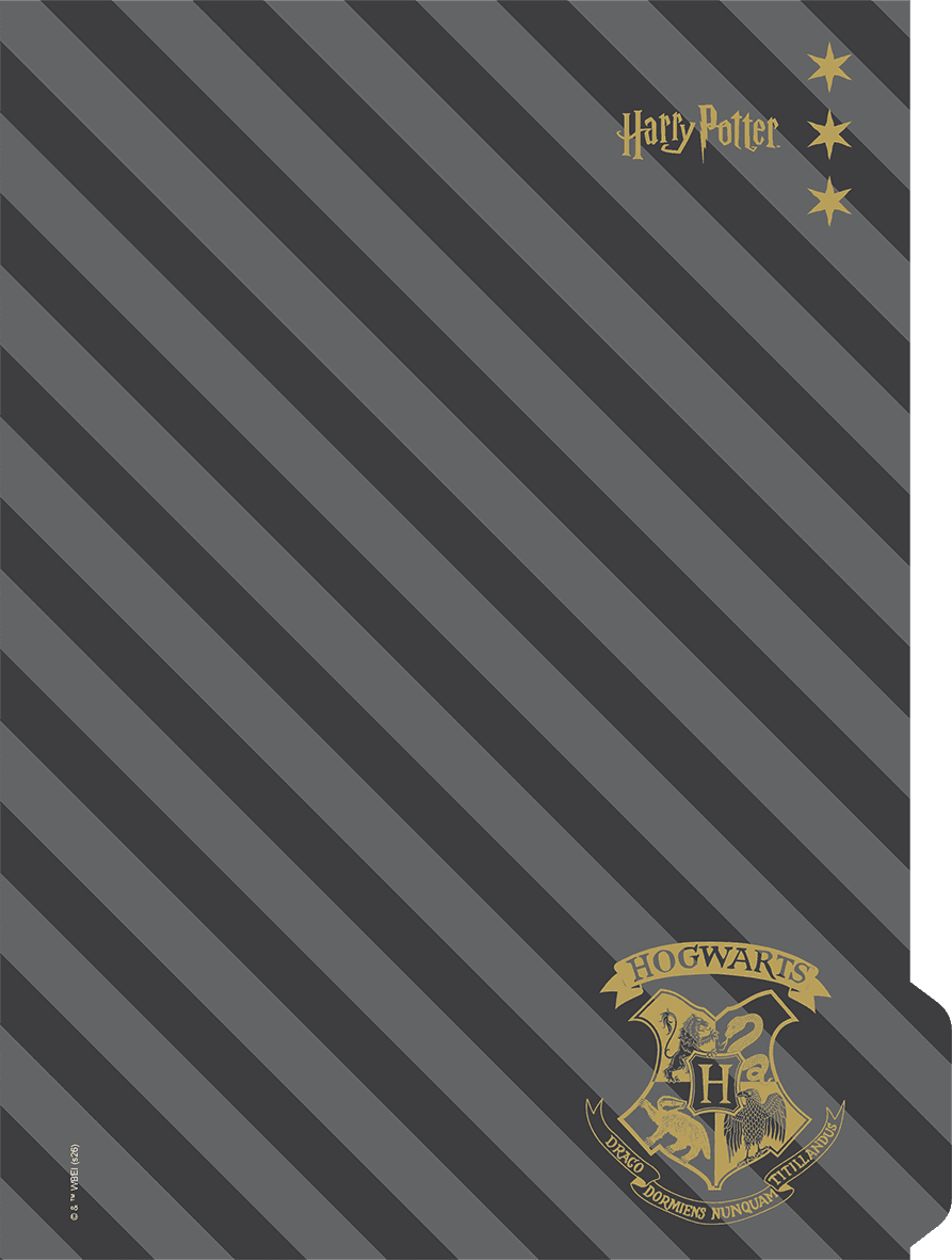 CADERNO 1/4 CAPA DURA 80 FOLHAS NEO - HARRY POTTER — miniatura 7