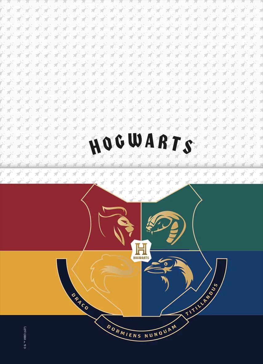 CADERNO ESPIRAL CAPA DURA 01 MATÉRIA COLLEGE - HARRY POTTER EDIÇÃO ESPECIAL — miniatura 10