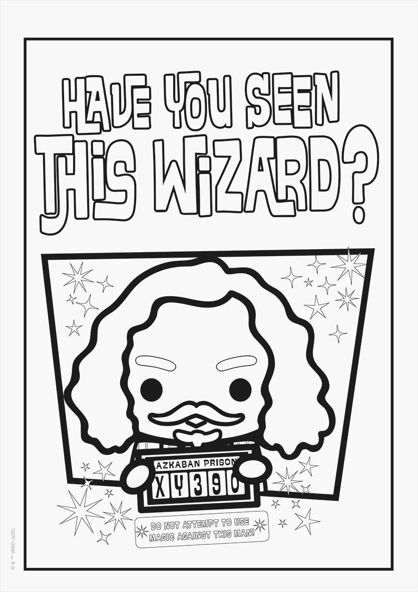 FOLHAS ILUSTRAÇÃO 180G A4 - HARRY POTTER — miniatura 10
