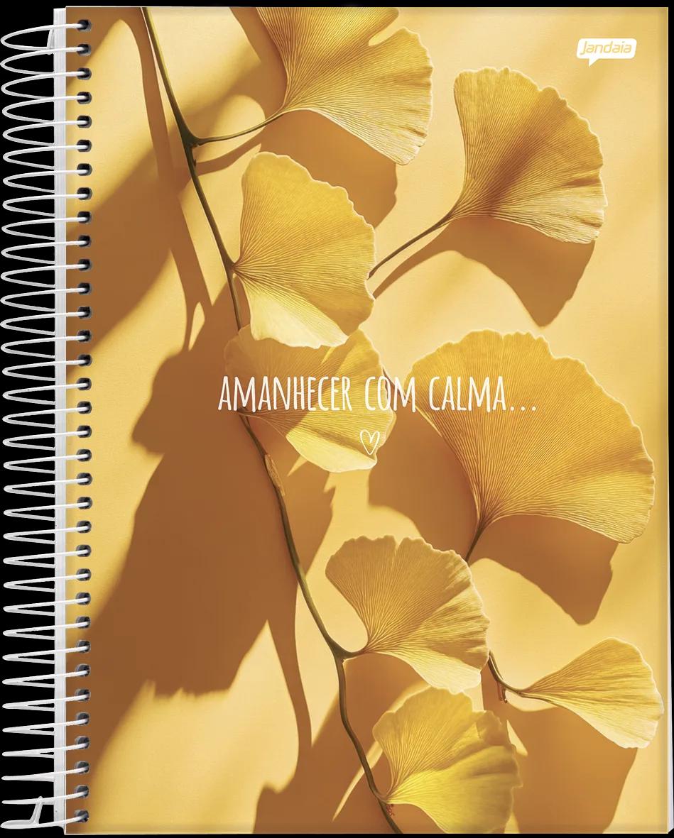 CADERNO ESPIRAL UNIVERSITÁRIO CAPA DURA 10 MATÉRIAS  160  FOLHAS - PAZ