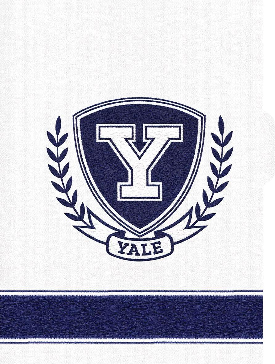 CADERNO ESPIRAL UNIVERSITÁRIO CAPA DURA 80 FOLHAS ARGOLADO - YALE — miniatura 4