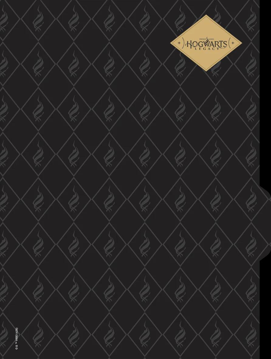 CADERNO UNIVERSITÁRIO CAPA DURA 01 MATÉRIA 80 FOLHAS NEO - HOGWARTS LEGACY — miniatura 8