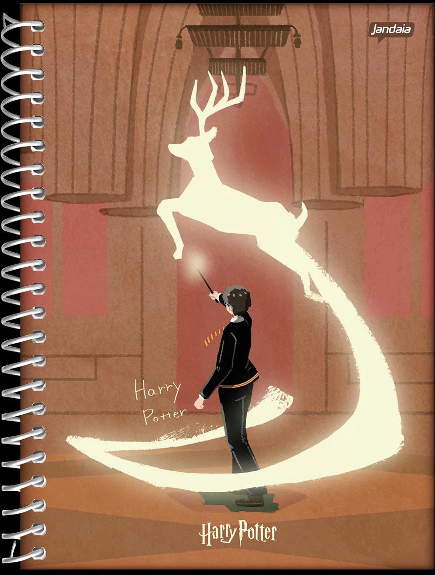 CADERNO ESPIRAL CAPA DURA 01 MATÉRIA COLLEGE - HARRY POTTER EDIÇÃO ESPECIAL — miniatura 13
