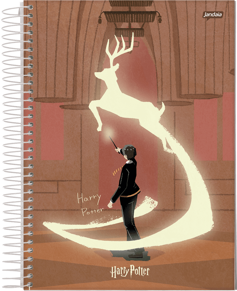 CADERNO ESPIRAL UNIVERSITÁRIO CAPA DURA 10 MATÉRIAS 160 FOLHAS - HARRY POTTER EDIÇÃO ESPECIAL