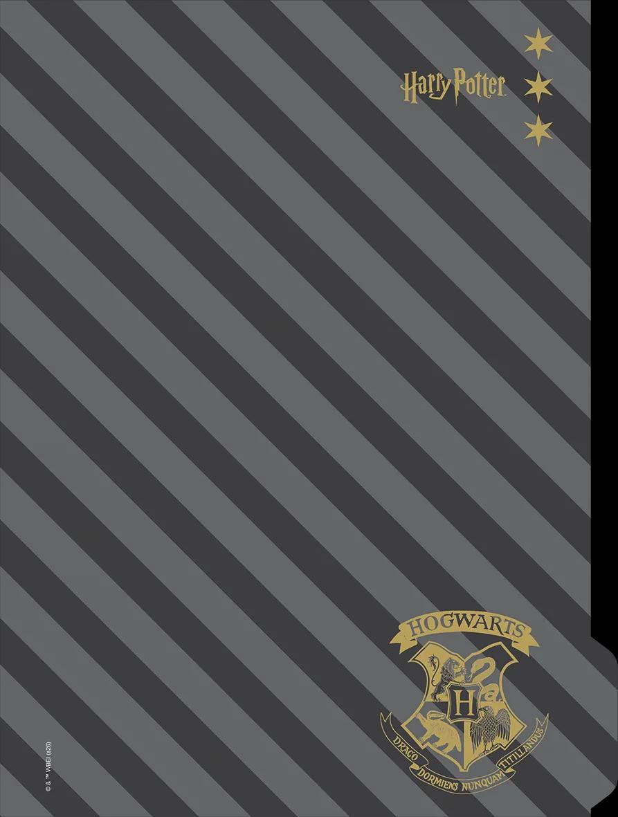 CADERNO 1/4 CAPA DURA 80 FOLHAS NEO - HARRY POTTER