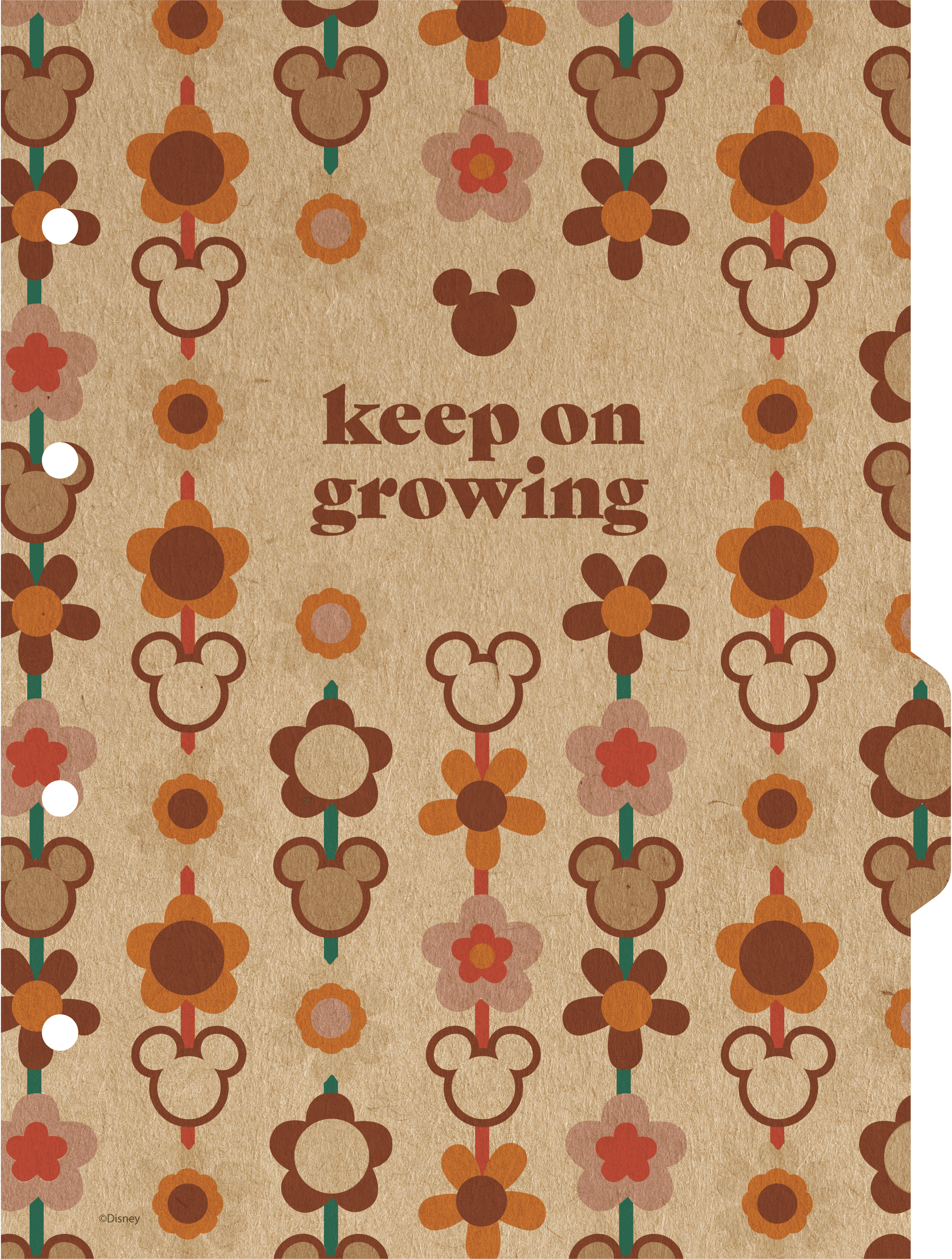 CADERNO COLLEGE CAPA DURA 80 FOLHAS ARGOLADO - MICKEY & MINNIE ARTS KRAFT — miniatura 4