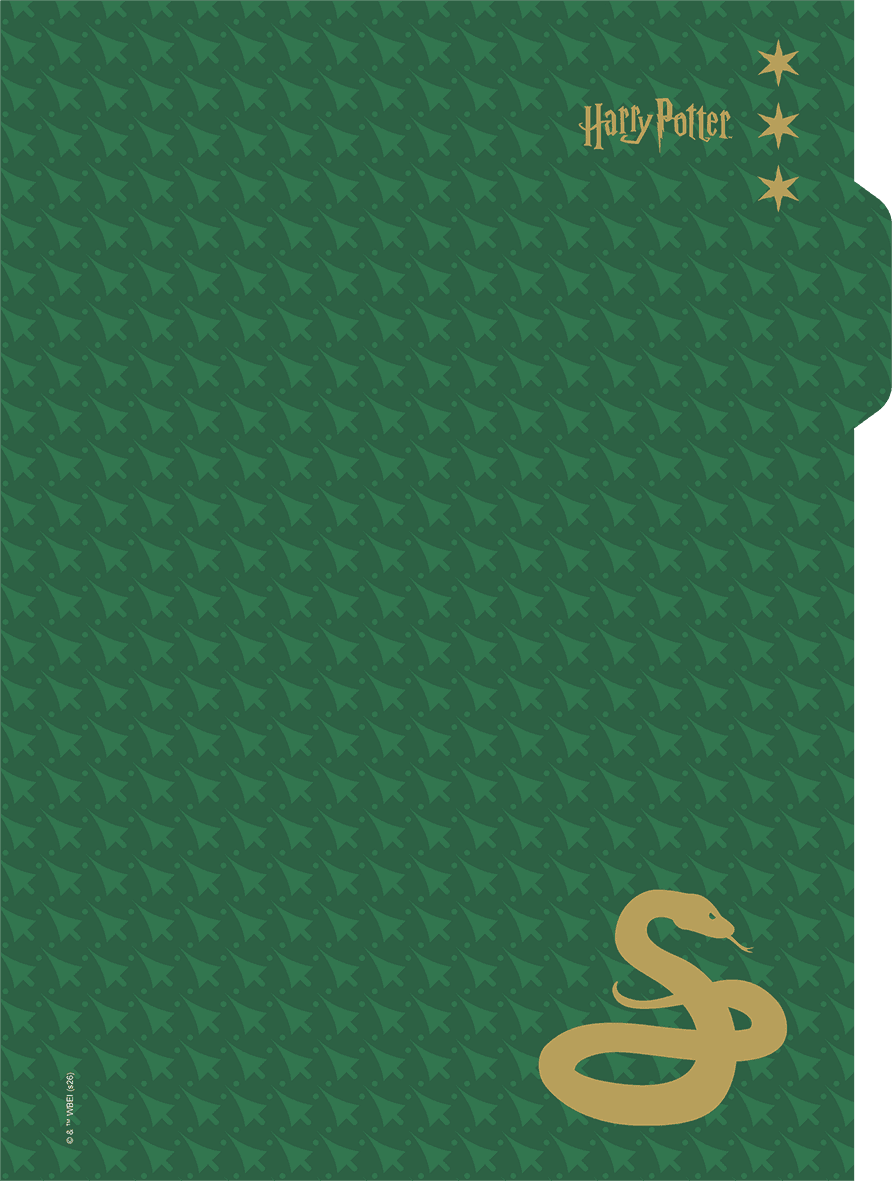 CADERNO 1/4 CAPA DURA 80 FOLHAS NEO - HARRY POTTER — miniatura 3