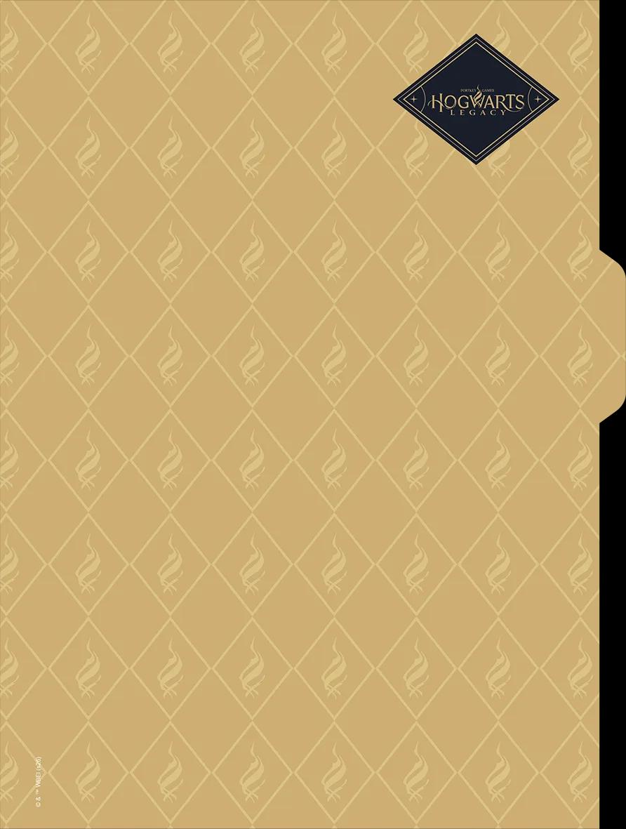 CADERNO UNIVERSITÁRIO CAPA DURA 01 MATÉRIA 80 FOLHAS NEO - HOGWARTS LEGACY — miniatura 5
