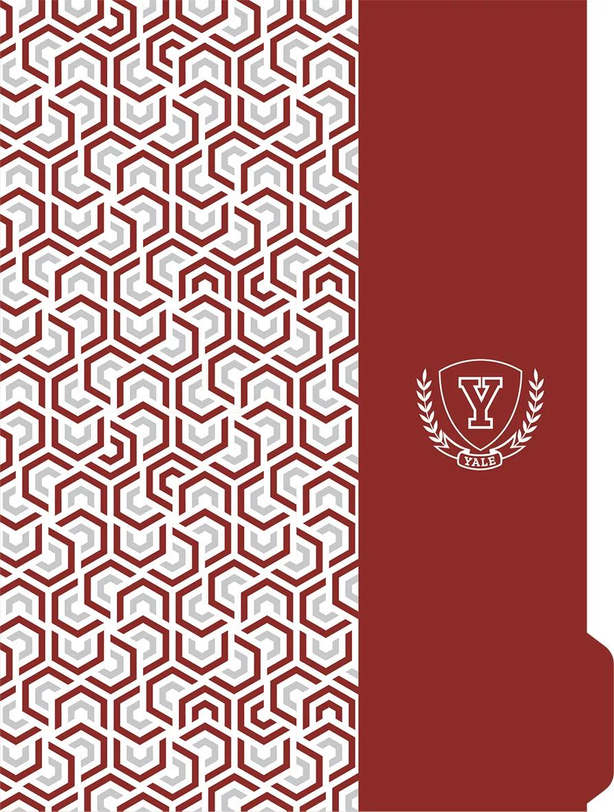 CADERNO ESPIRAL UNIVERSITÁRIO CAPA DURA 160 FOLHAS NEO - YALE — miniatura 7