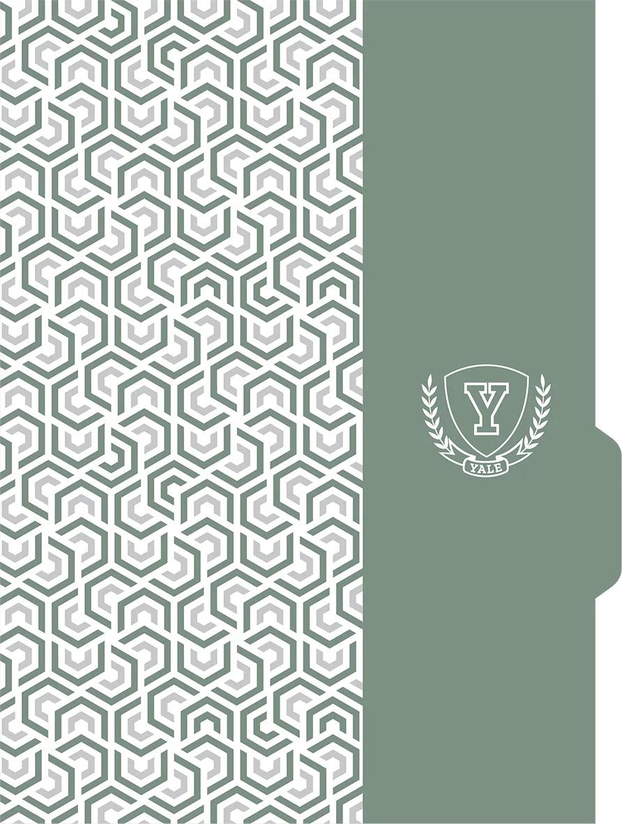 CADERNO ESPIRAL UNIVERSITÁRIO CAPA DURA 80 FOLHAS NEO - YALE — miniatura 5
