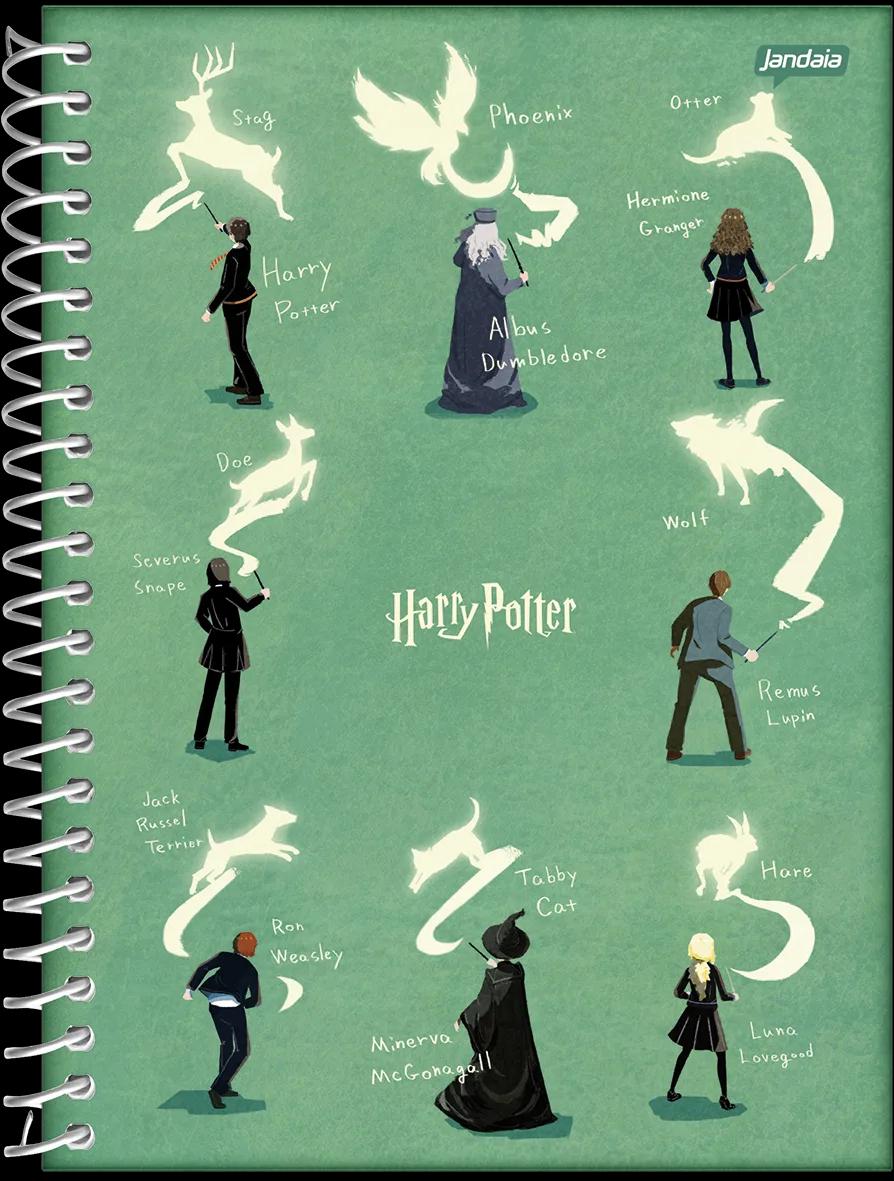 CADERNO ESPIRAL CAPA DURA 01 MATÉRIA COLLEGE - HARRY POTTER EDIÇÃO ESPECIAL — miniatura 14