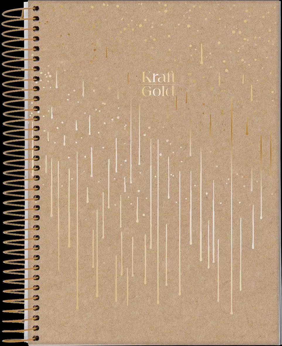 CADERNO ESPIRAL CAPA DURA 1/8 80 FOLHAS - KRAFT GOLD — miniatura 3
