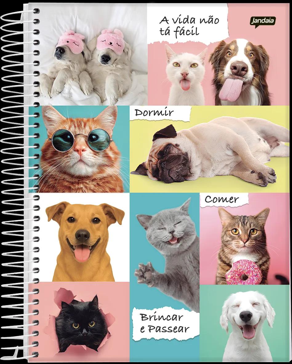 CADERNO ESPIRAL UNIVERSITÁRIO CAPA DURA 10 MATÉRIAS  160  FOLHAS - PET'S LOVE — miniatura 3