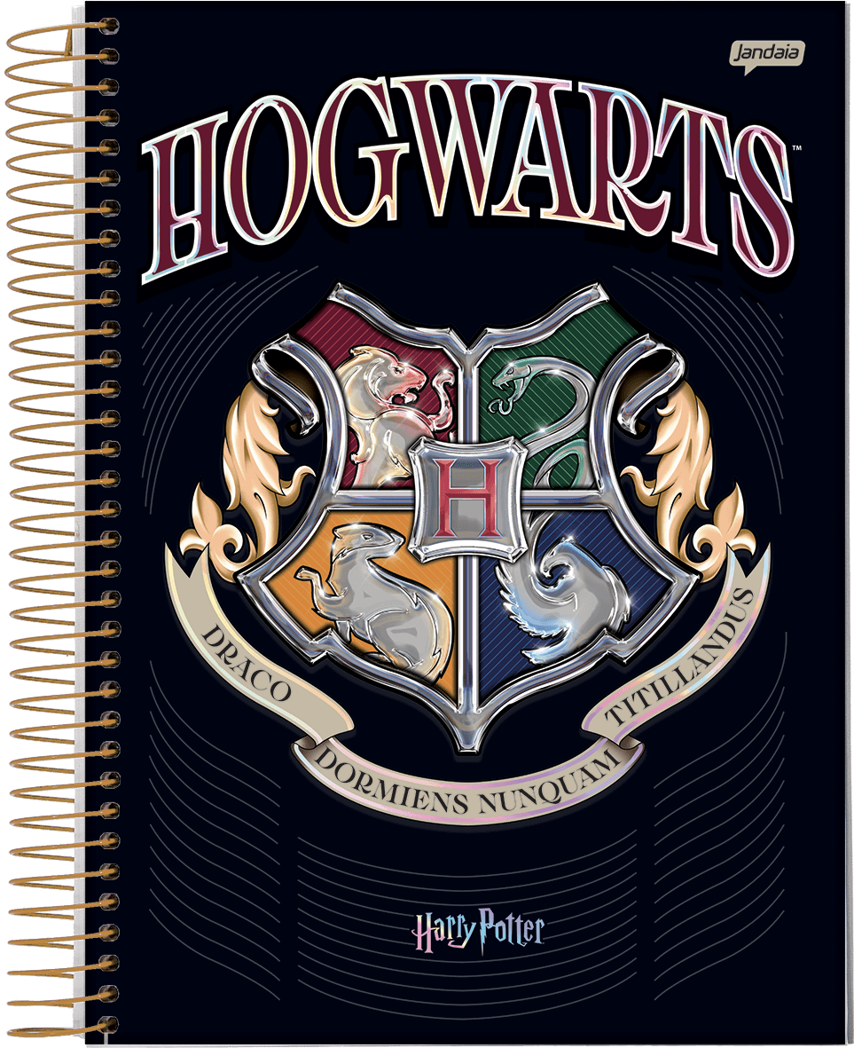 CADERNO ESPIRAL UNIVERSITÁRIO CAPA DURA 15 MATÉRIAS 300 FOLHAS - HARRY POTTER — miniatura 8