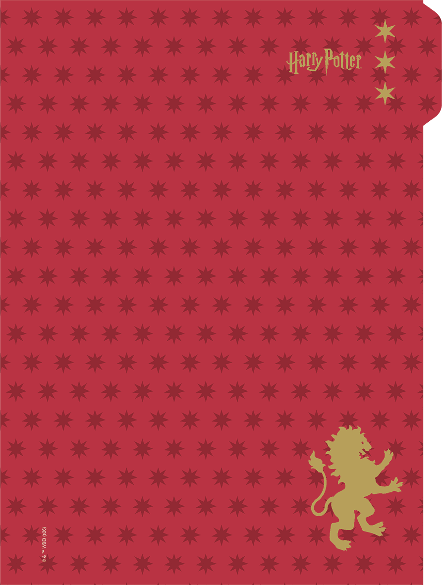CADERNO 1/4 CAPA DURA 80 FOLHAS NEO - HARRY POTTER — miniatura 2