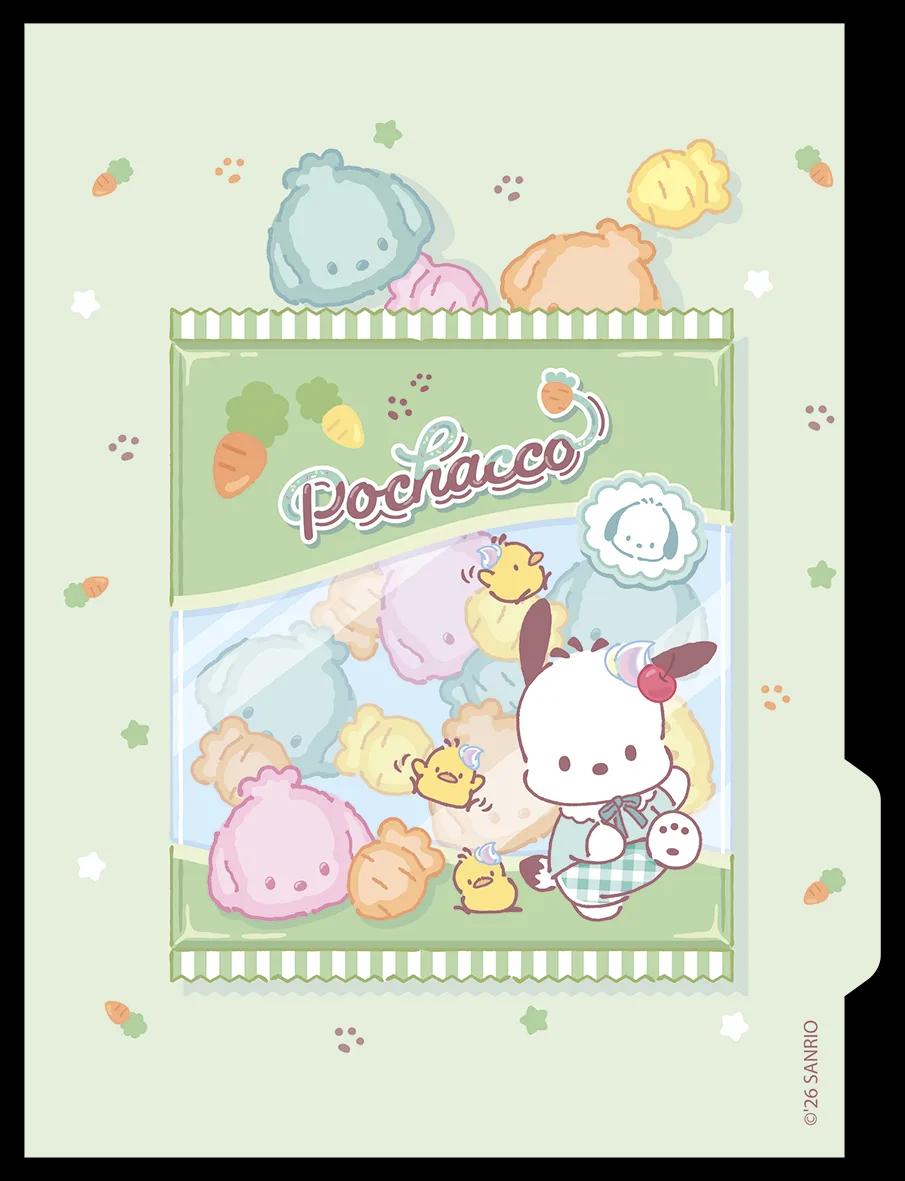 CADERNO COLLEGE CAPA DURA 80 FOLHAS ARGOLADO - POCHACCO — miniatura 9