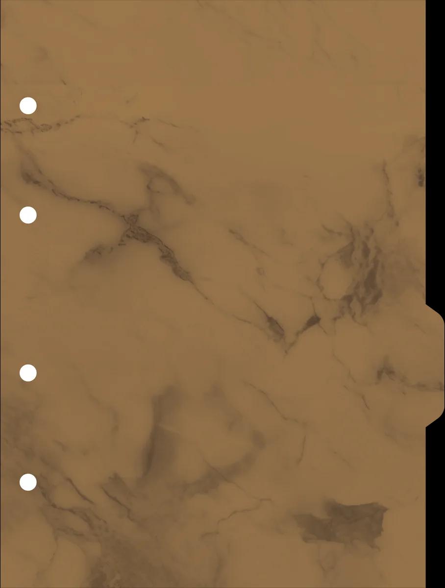 CADERNO COLLEGE CAPA DURA 80 FOLHAS ARGOLADO - MARBLE — miniatura 5
