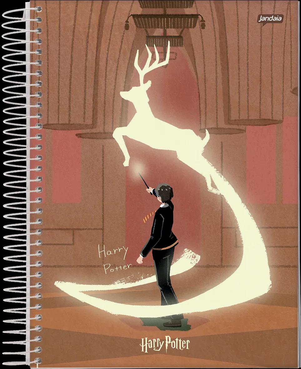 CADERNO ESPIRAL CAPA DURA 01 MATÉRIA COLLEGE - HARRY POTTER EDIÇÃO ESPECIAL — miniatura 17