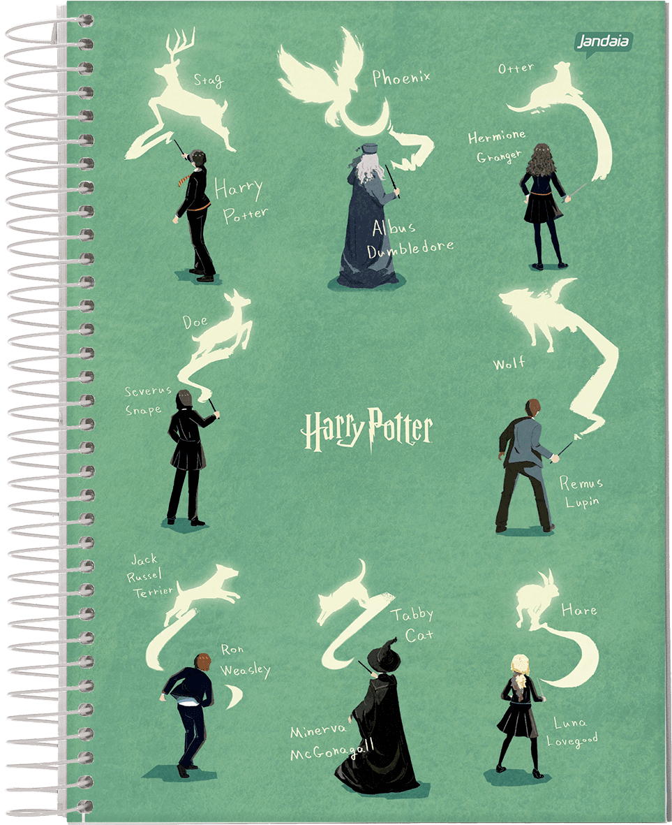 CADERNO ESPIRAL UNIVERSITÁRIO CAPA DURA 01 MATÉRIA 80 FOLHAS - HARRY POTTER EDIÇÃO ESPECIAL