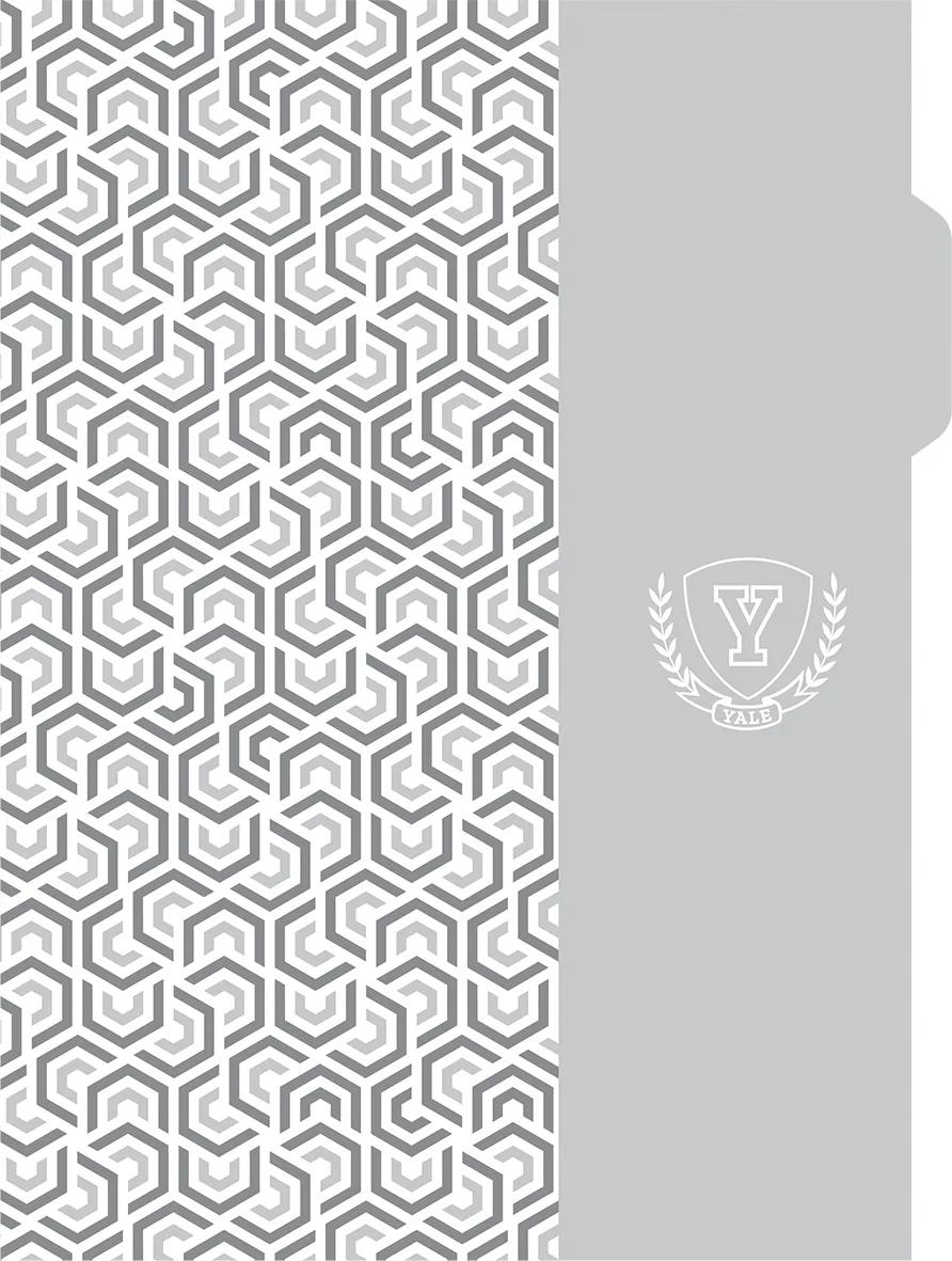 CADERNO ESPIRAL UNIVERSITÁRIO CAPA DURA 160 FOLHAS NEO - YALE — miniatura 3