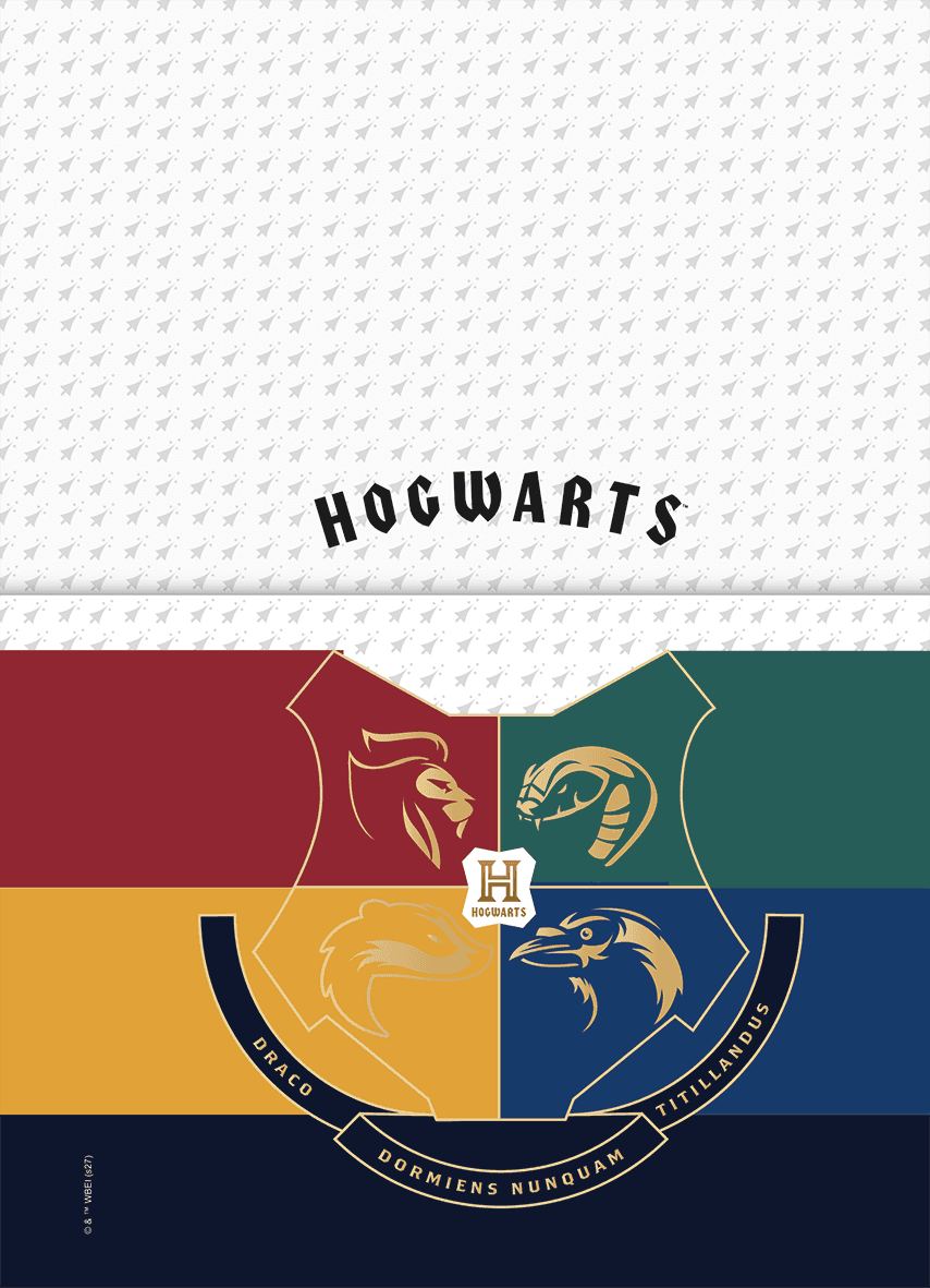 CADERNO ESPIRAL UNIVERSITÁRIO CAPA DURA 01 MATÉRIA 80 FOLHAS - HARRY POTTER EDIÇÃO ESPECIAL — miniatura 5