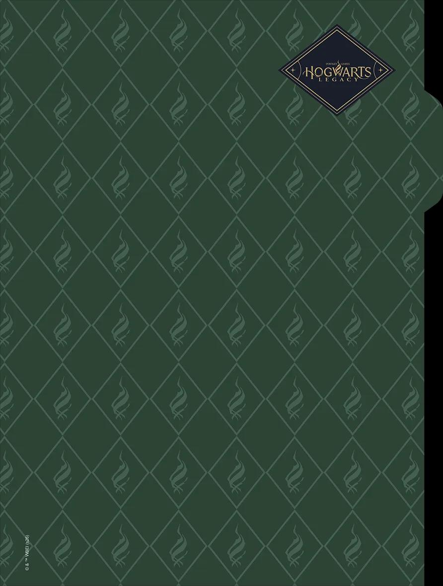 CADERNO UNIVERSITÁRIO CAPA DURA 01 MATÉRIA 80 FOLHAS NEO - HOGWARTS LEGACY — miniatura 4