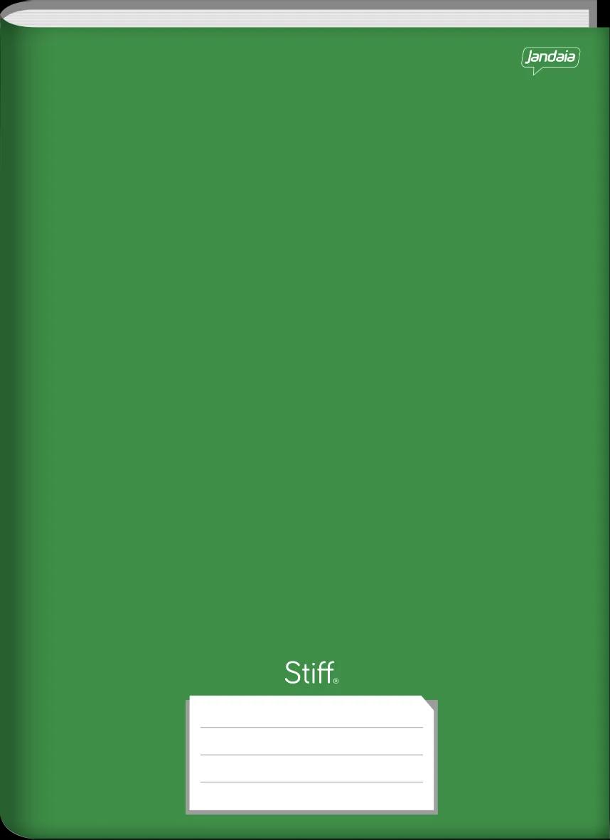 CADERNO BROCHURA UNIVERSITÁRIO CAPA DURA 48 FOLHAS VERDE - STIFF