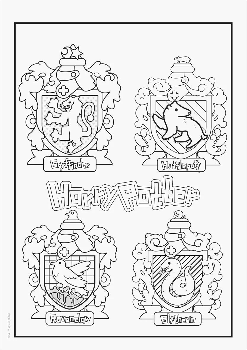 FOLHAS ILUSTRAÇÃO 180G A4 - HARRY POTTER