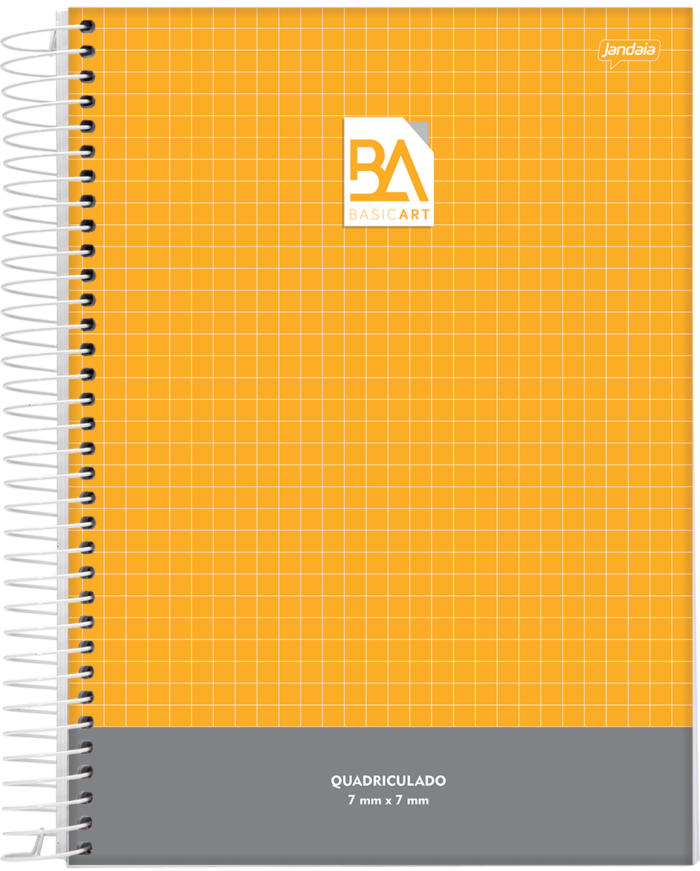 CADERNO ESPIRAL QUADRICULADO - BASIC ART