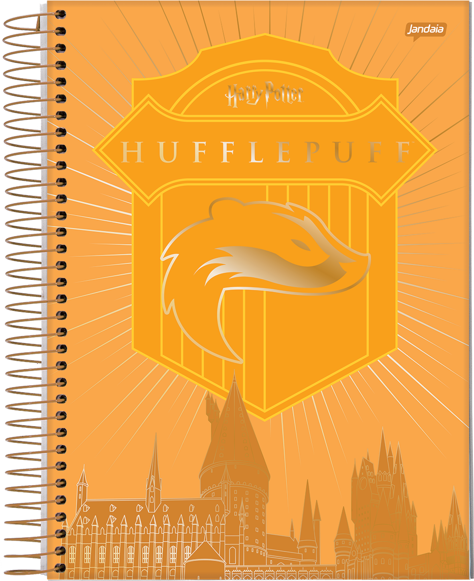 CADERNO ESPIRAL UNIVERSITÁRIO - HARRY POTTER EDIÇÃO ESPECIAL - Imagem 3